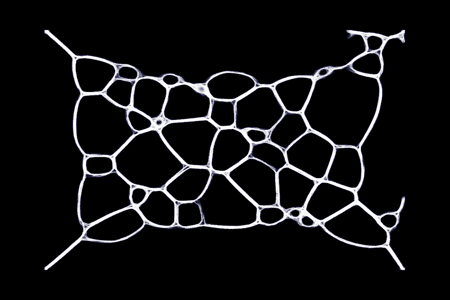 Supervoid
